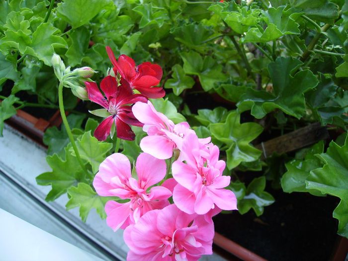 PICT0072