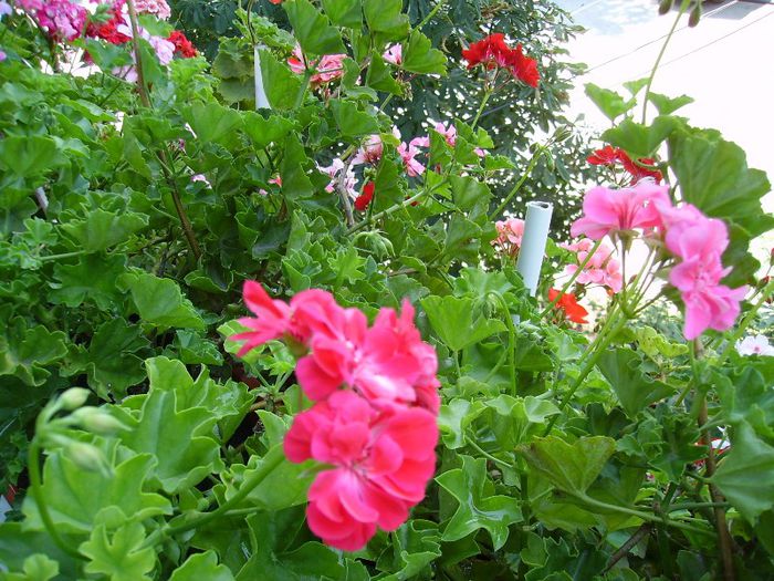 PICT0073