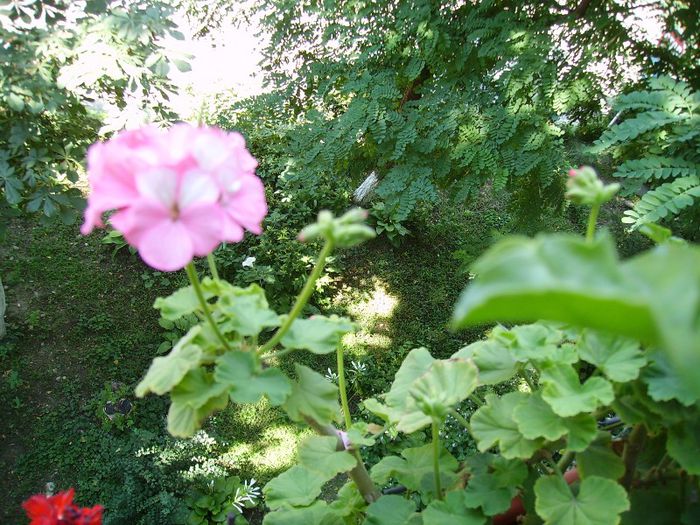 PICT0078