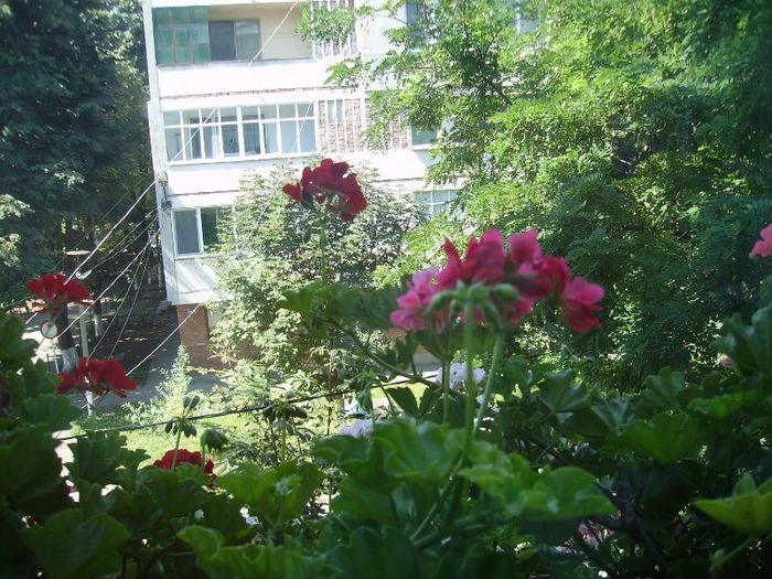 PICT0084