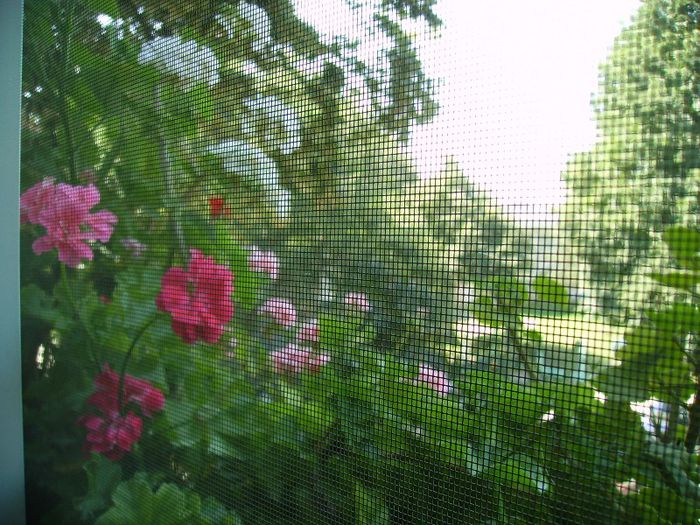 PICT0086