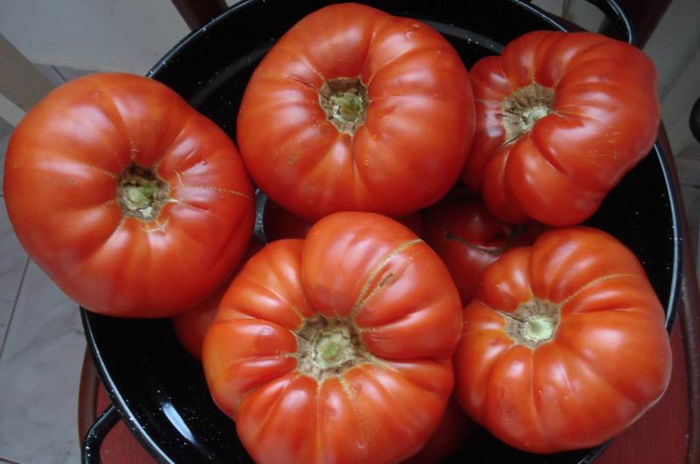 pic 4550 - Aussie-heirloom tomato