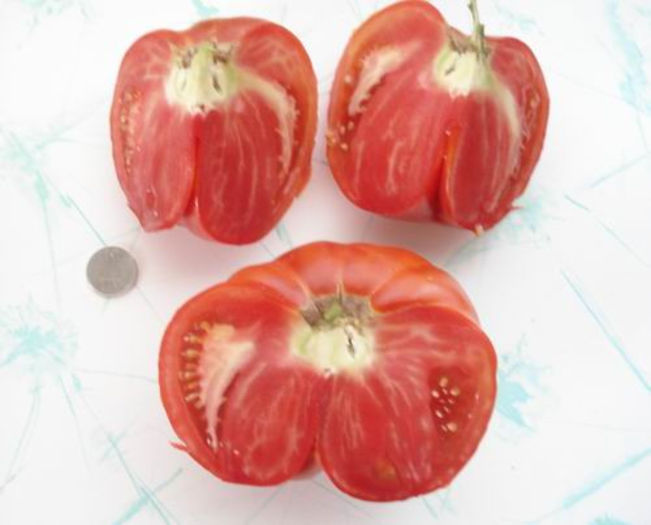 pic 4553 - Aussie-heirloom tomato