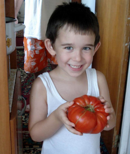 pic 4551 - Aussie-heirloom tomato