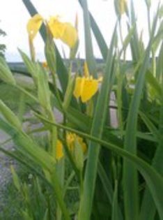 80789098_TVPBPSR3[1]