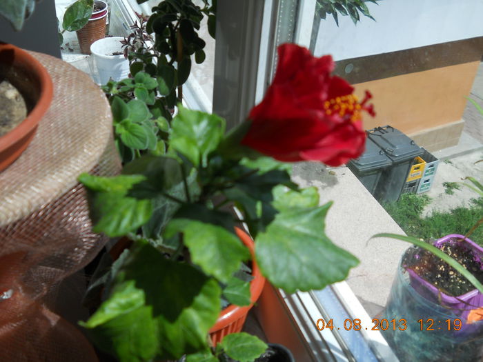 054 - AUGUST 2013