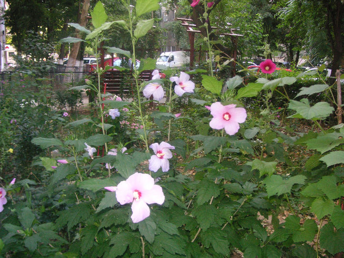 SANY0018