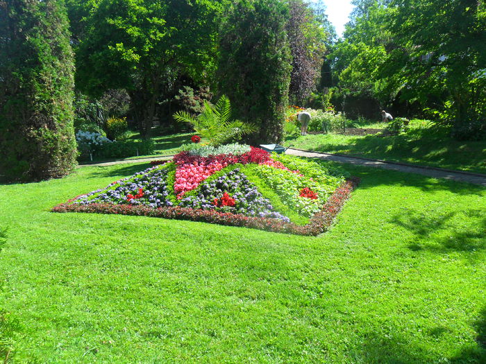 Gradina botanica Cluj