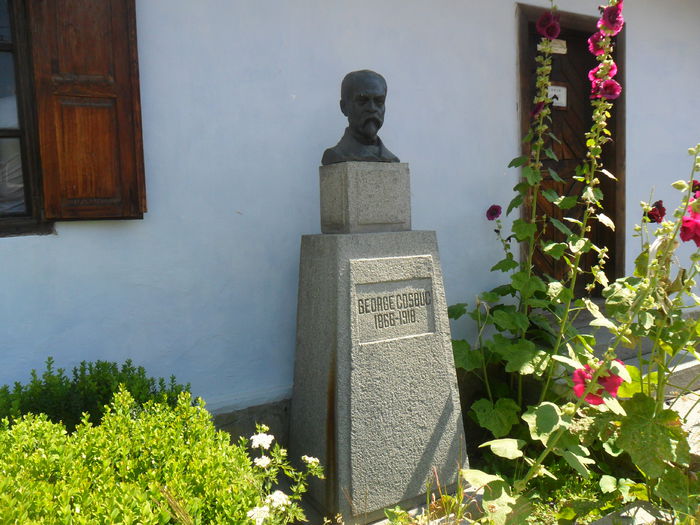 SAM_5130casa memoriala George Cosbuc