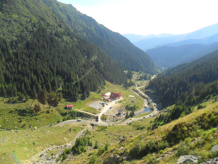 cabana Capra vazuta de sus