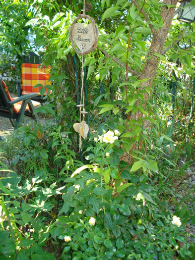 DSC01270 - apoi continuarea 2013