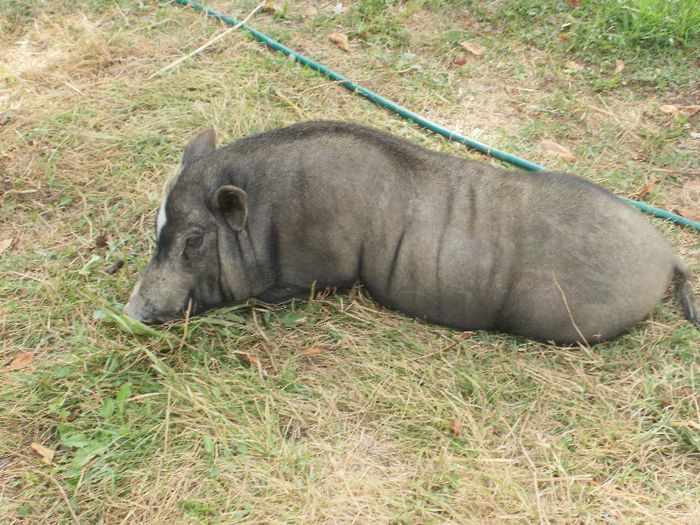 P7300041