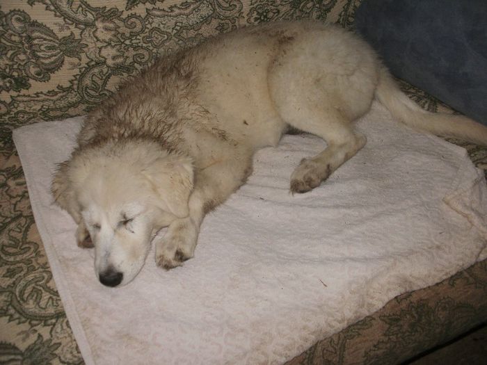 P7300037