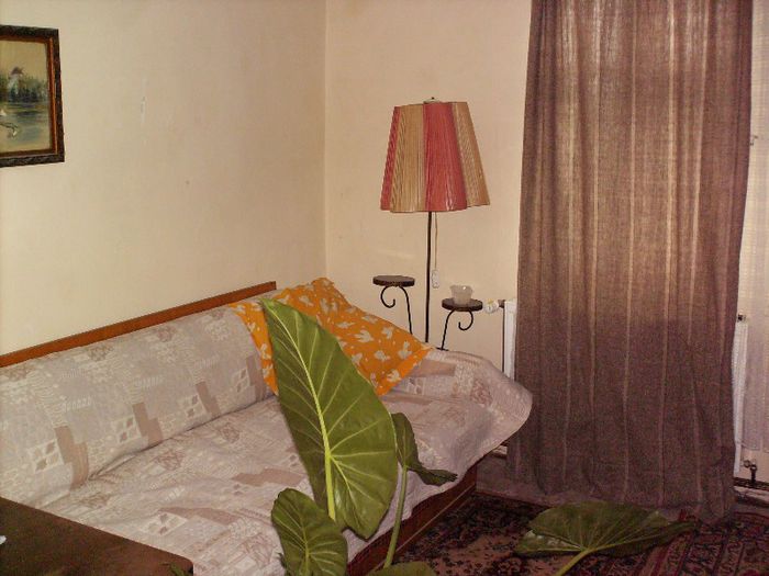 HPIM0436