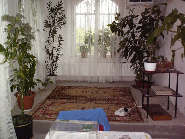 HPIM0439