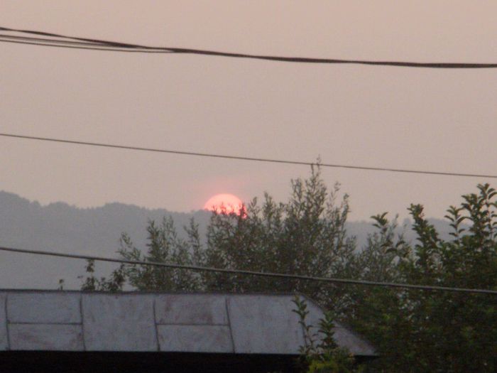 P8030327