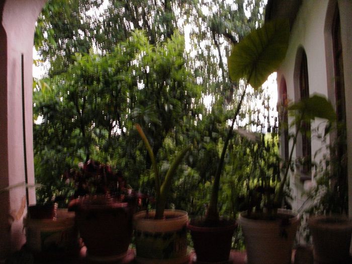 P5260075
