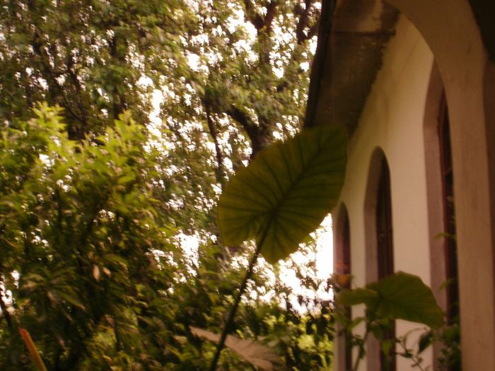 P5260056