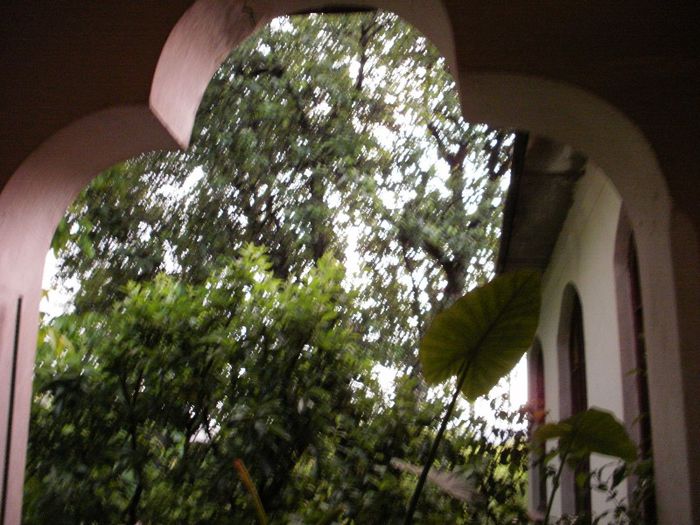P5260074