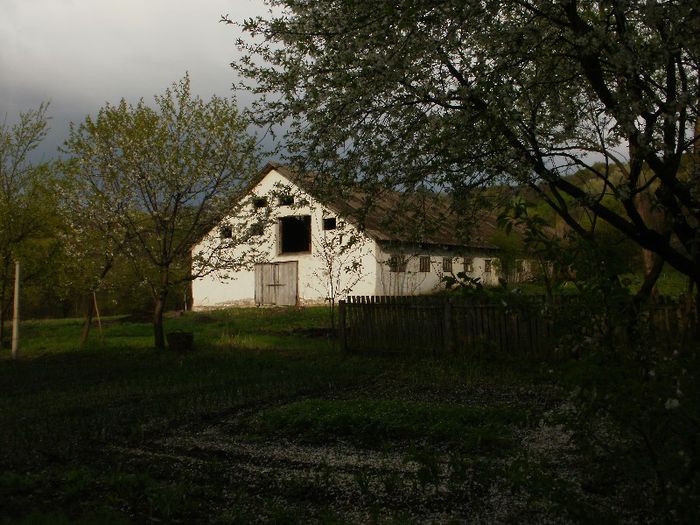 P4170015