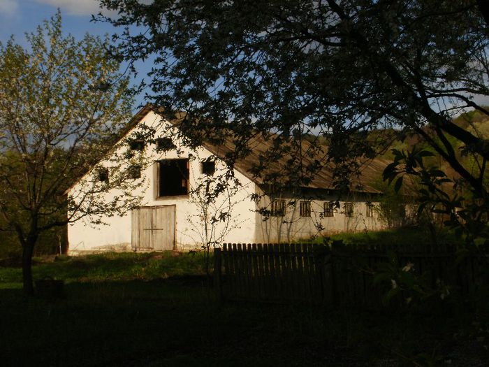 P4170024