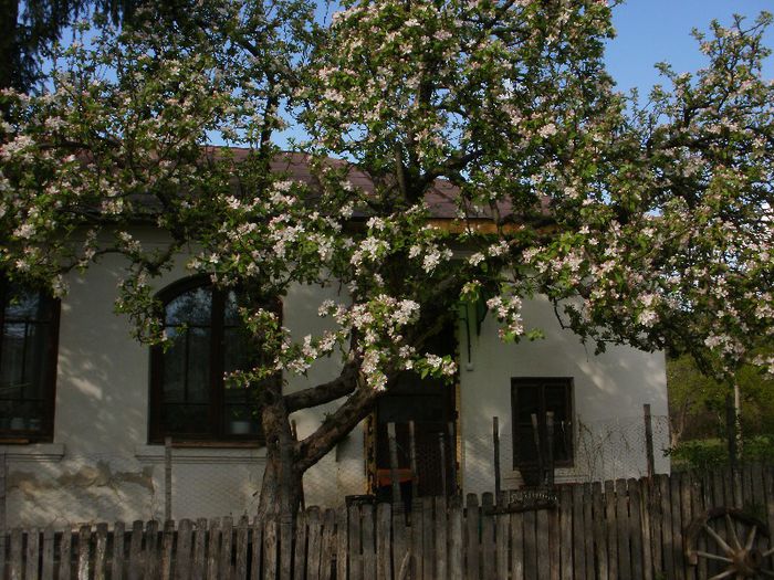 P4190032