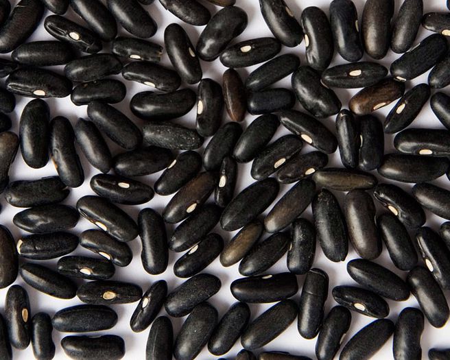 black_rice - fasole seminte