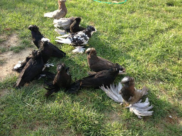 IMG_1195[1] - august 2013