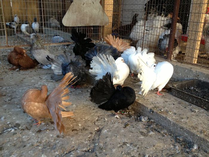 IMG_1217[1] - august 2013