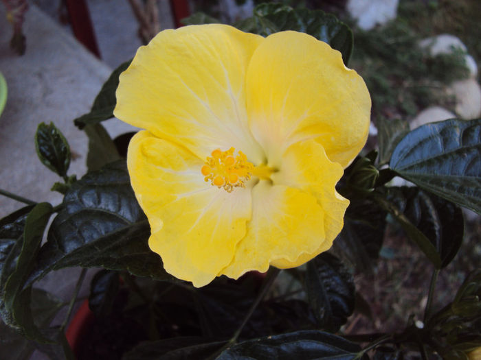 DSC09159