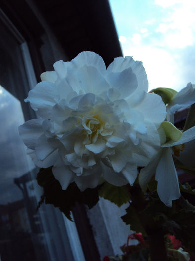 DSC08303