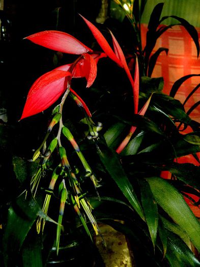 DSCN9049 - AUGUST 2013