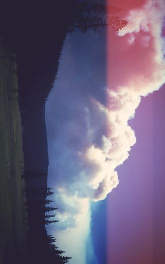 tumblr_mn0jw2QB4K1qf2v6io1_500