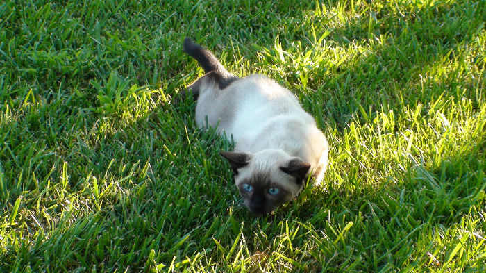 DSC09879 - b-fiara