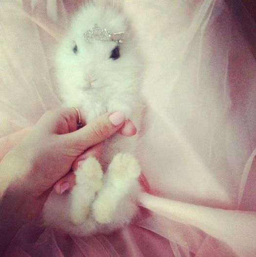 7258_475614692507919_1418657250_n