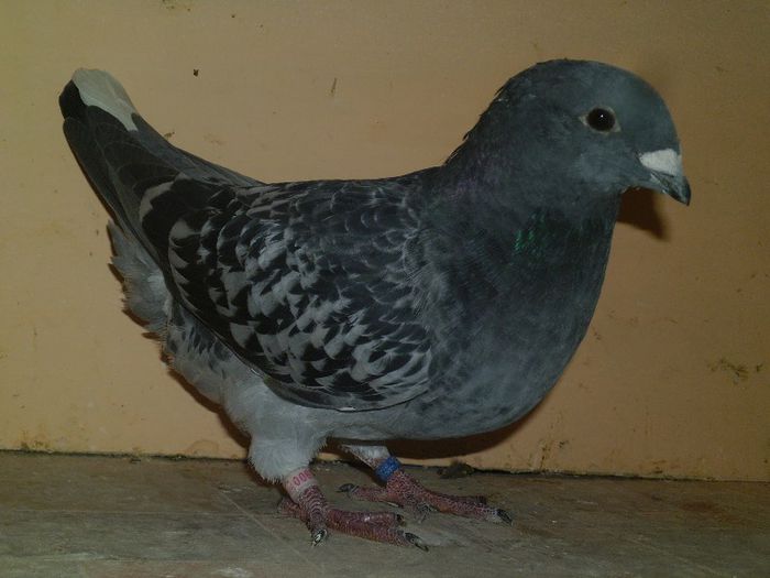 P1080403