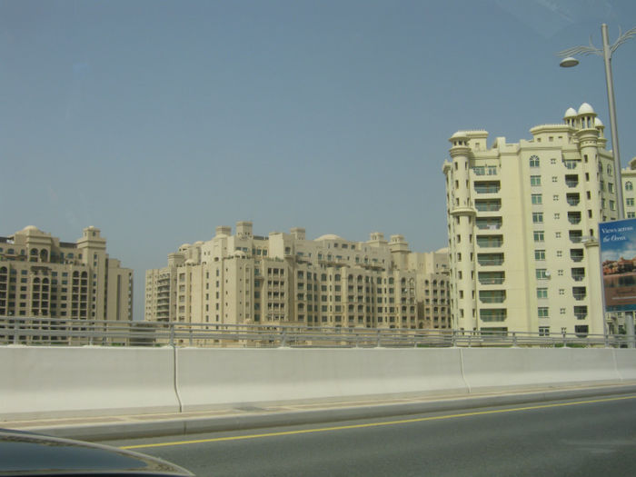 Plimbare prin Insula palmier