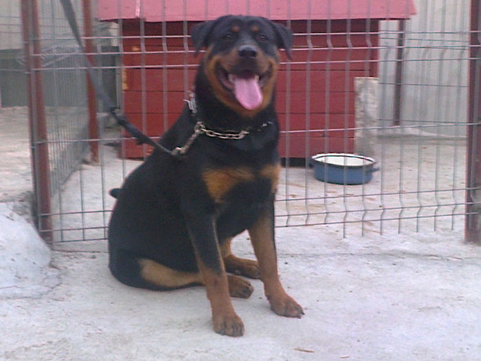 HERRA; aproape 9 luni

