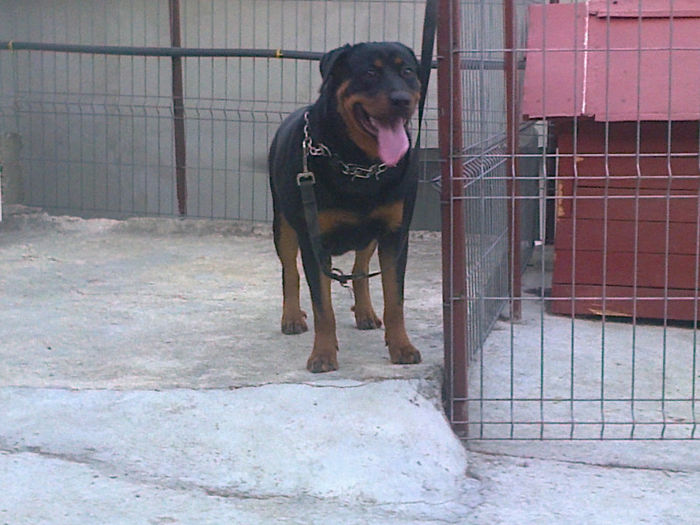 HERRA; aproape 9 luni
