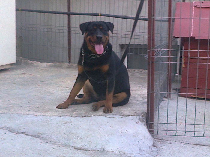 HERRA; aproape 9 luni
