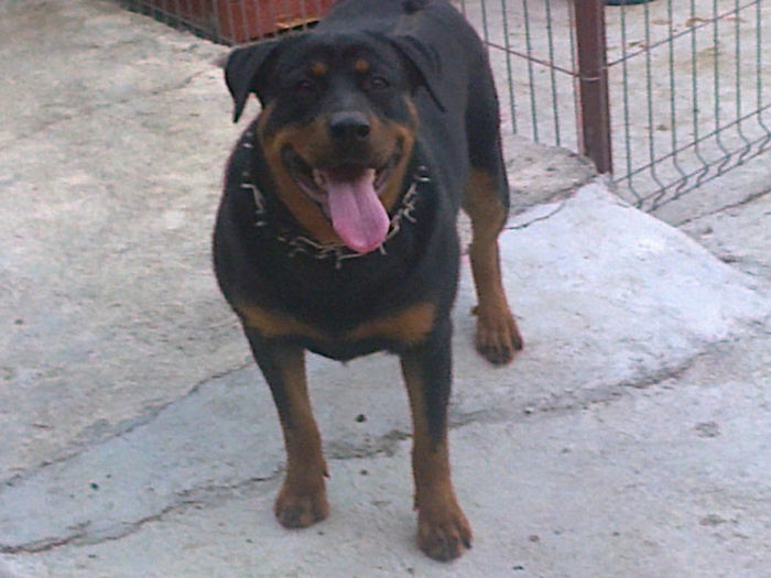 HERRA; aproape 9 luni
