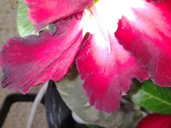20130807_114903