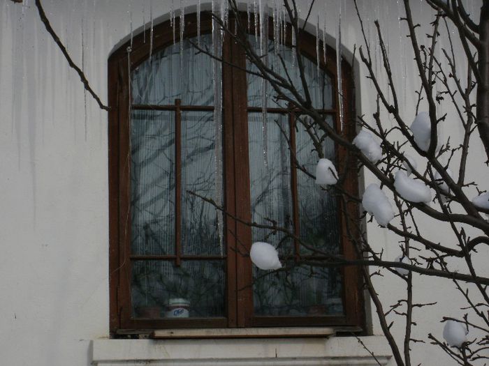 P2280014
