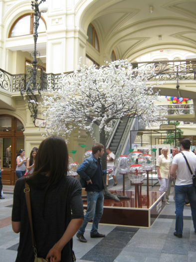 Gum Mall