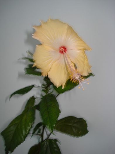 DSC08324