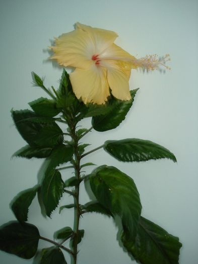 DSC08327