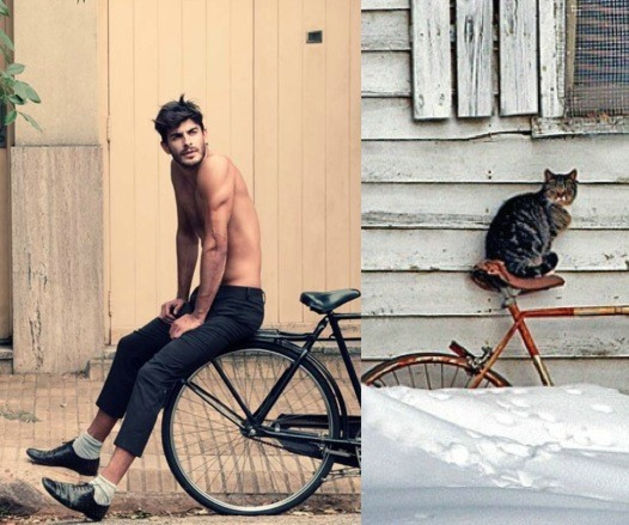 34 - Hot Guys and Cats Striking