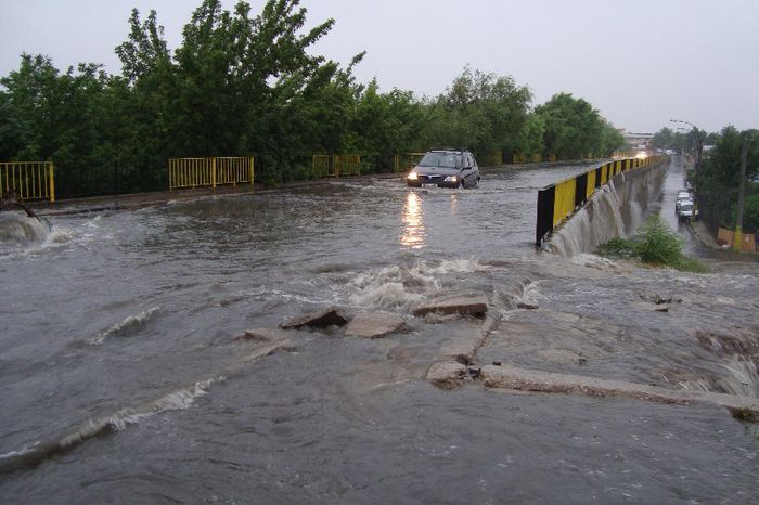 jos in dreapta curtea mea placi de osb din voliera pusa sa devieze apa aici era pe sfarsite - inundatia care mia distrus curtea si voliera