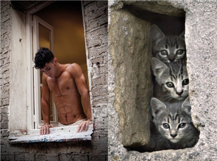 36 - Hot Guys and Cats Striking