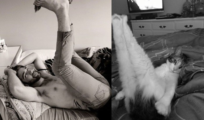 37 - Hot Guys and Cats Striking